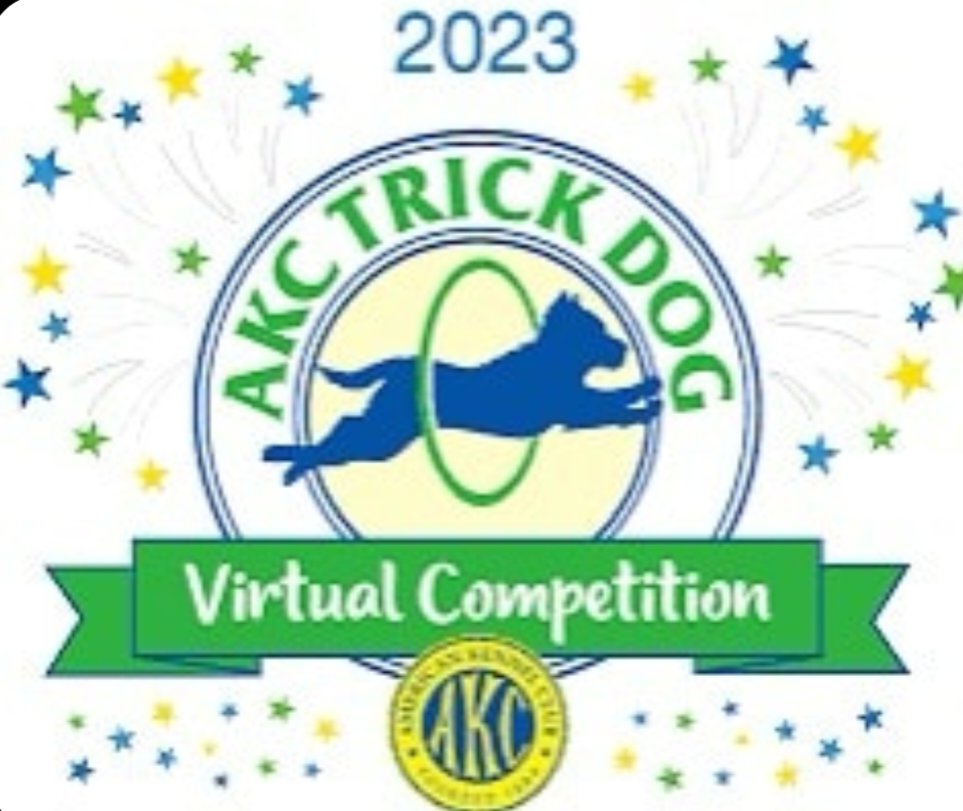 AKC Trick Dog Award. Best Dog Training in Jonesboro, Arkansas